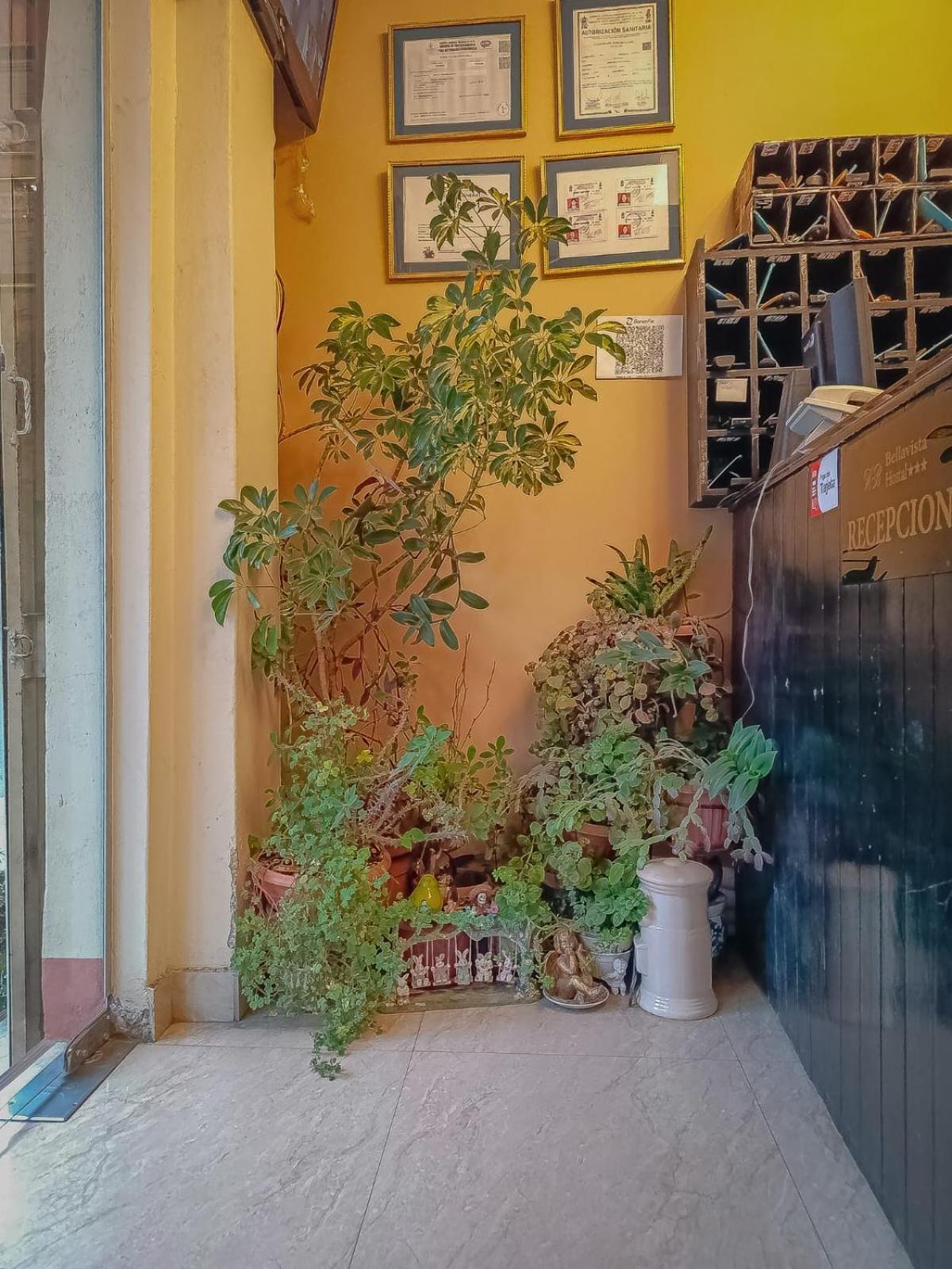 Hostal Terrabella Srl La Paz Kültér fotó